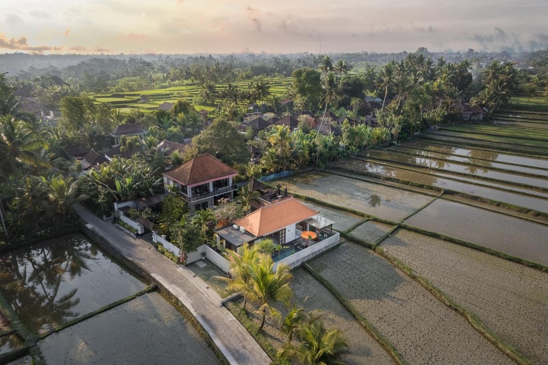 Dijero at Umah Bali — photo 1 of 37
