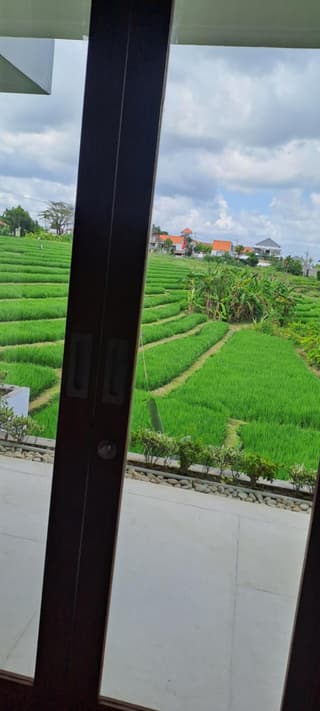 Nesara Villa