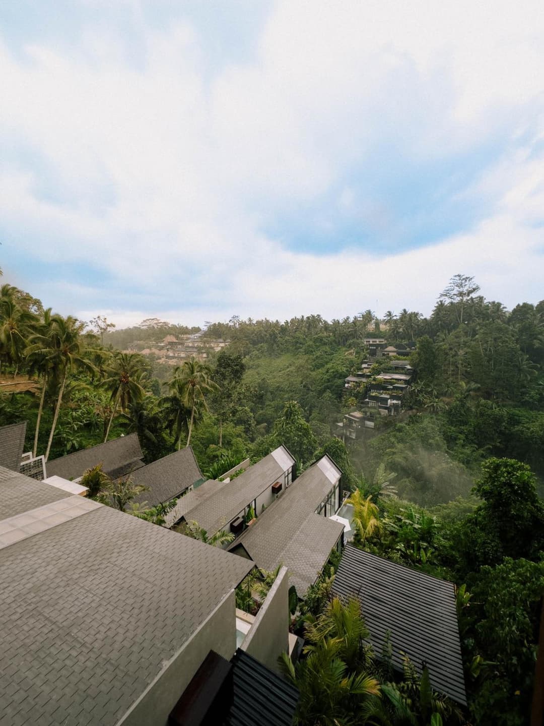 Magical Jungle Resort — photo 1 of 74