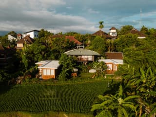 Grün Ubud