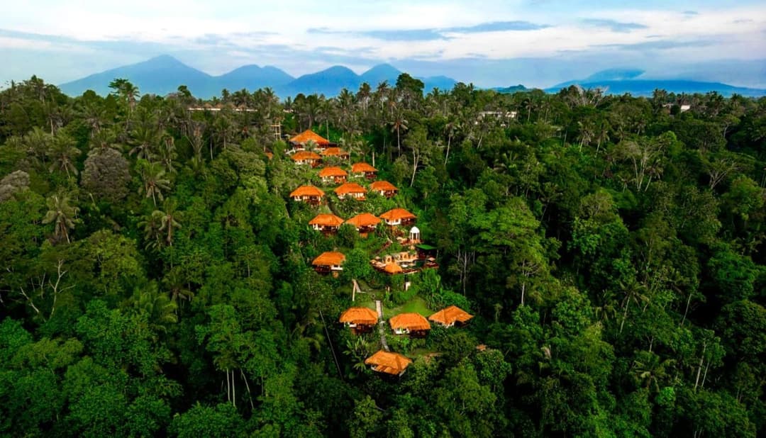 Nandini Jungle by Hanging Gardens — photo 1 of 1