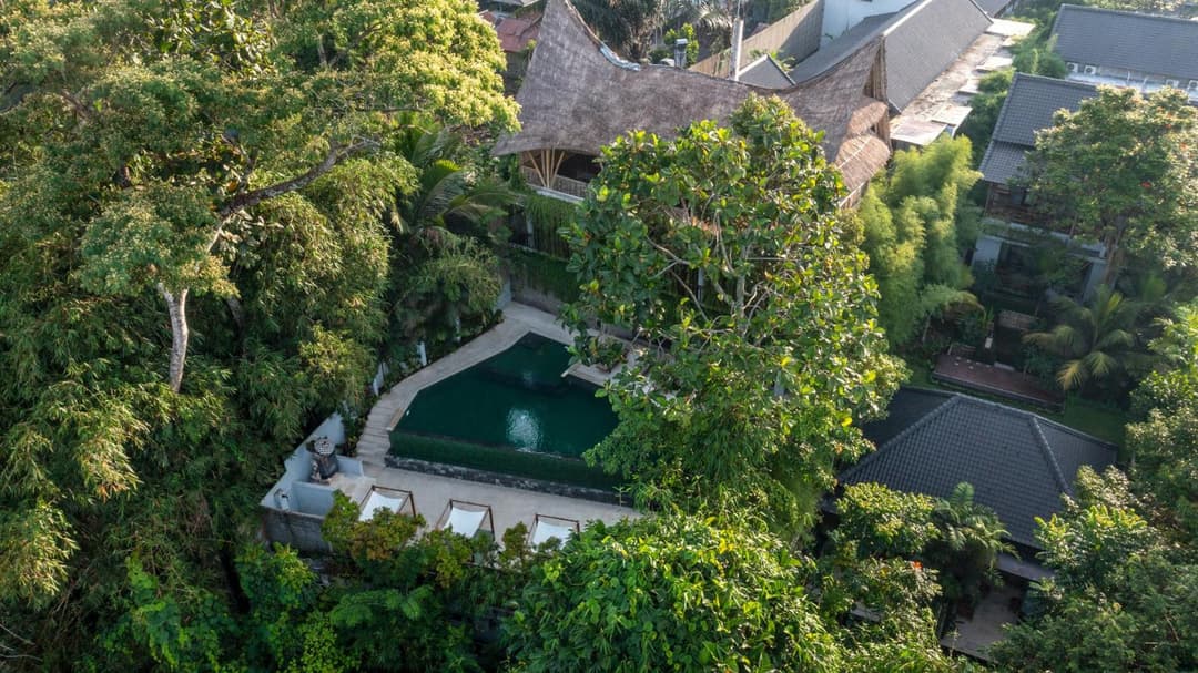 Dinara Ubud — photo 1 of 33