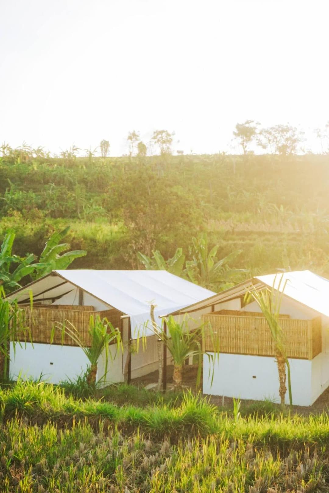 Camani Glamping — photo 1 of 54