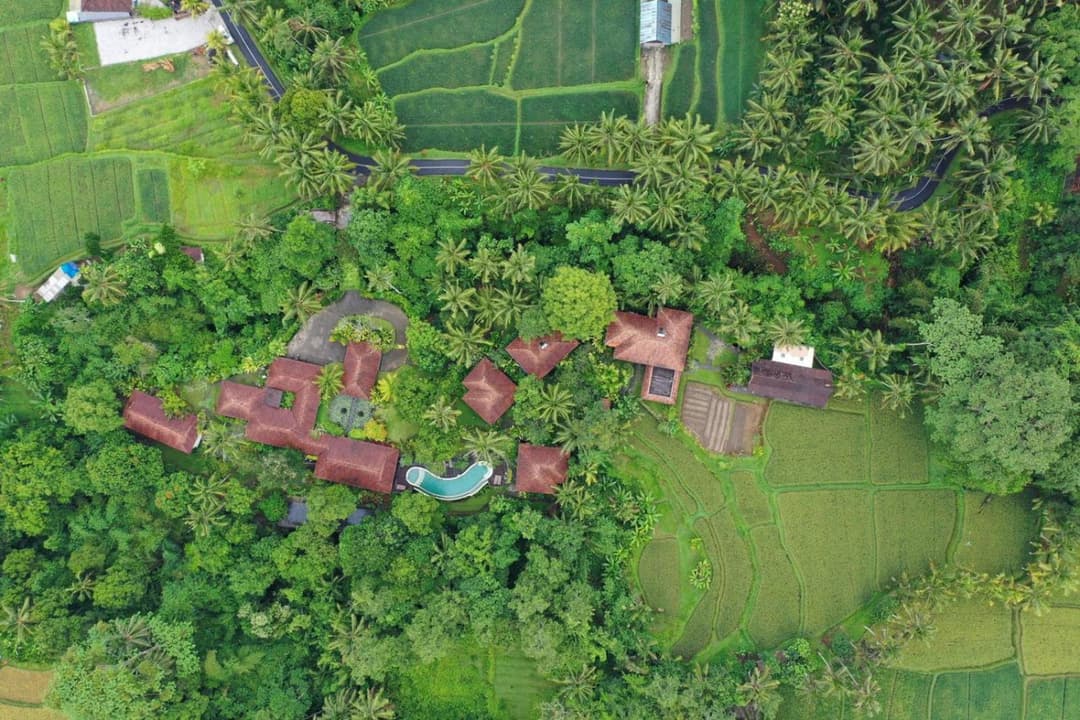 BeingSattvaa Luxury Ubud — photo 1 of 166