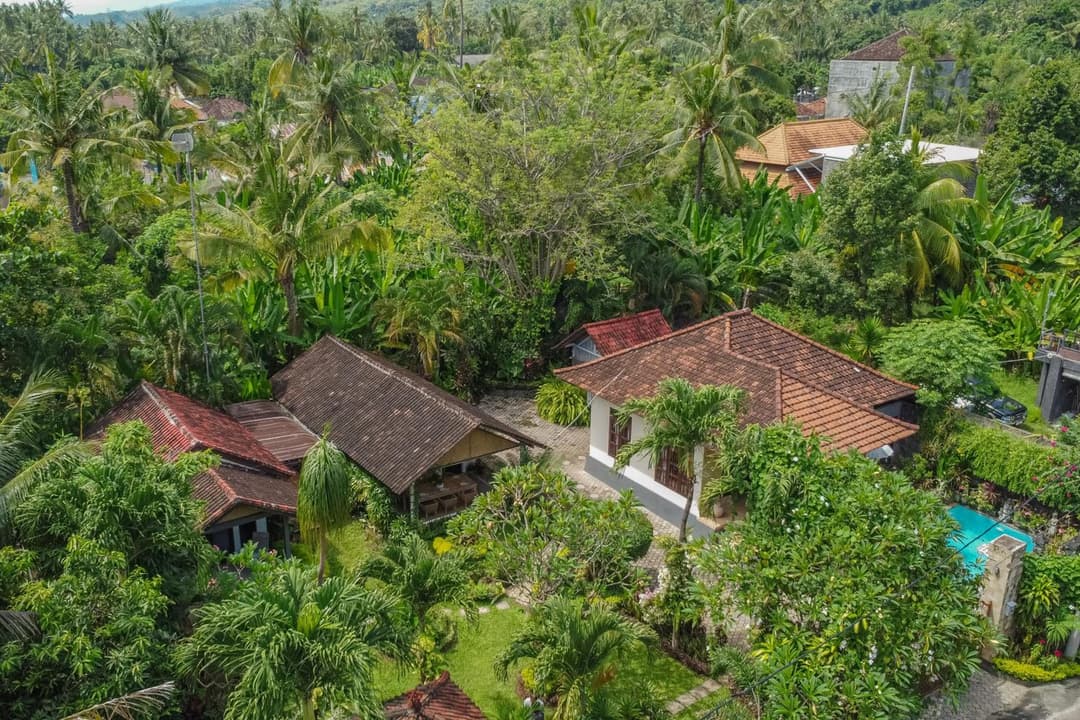 Tropical Oasis Lovina — photo 1 of 76