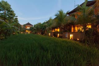 Bebek Tepi Sawah Villa And Spa