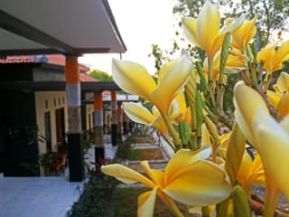 Tregge Surf Camp Uluwatu
