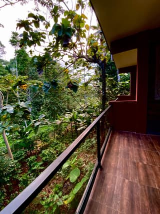Umah Temuku Ubud