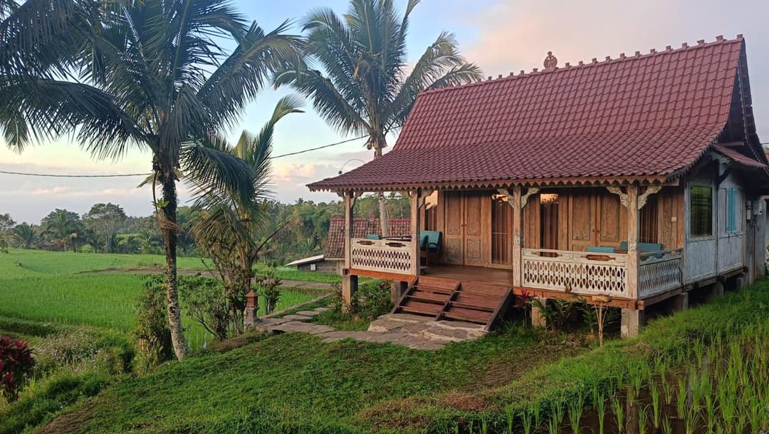 D'Ume Bendoel Homestay — photo 1 of 1