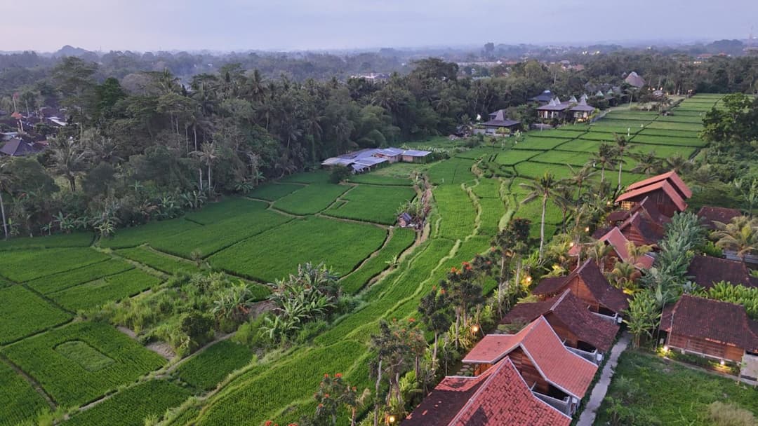 Ubud Art Resort — photo 1 of 87