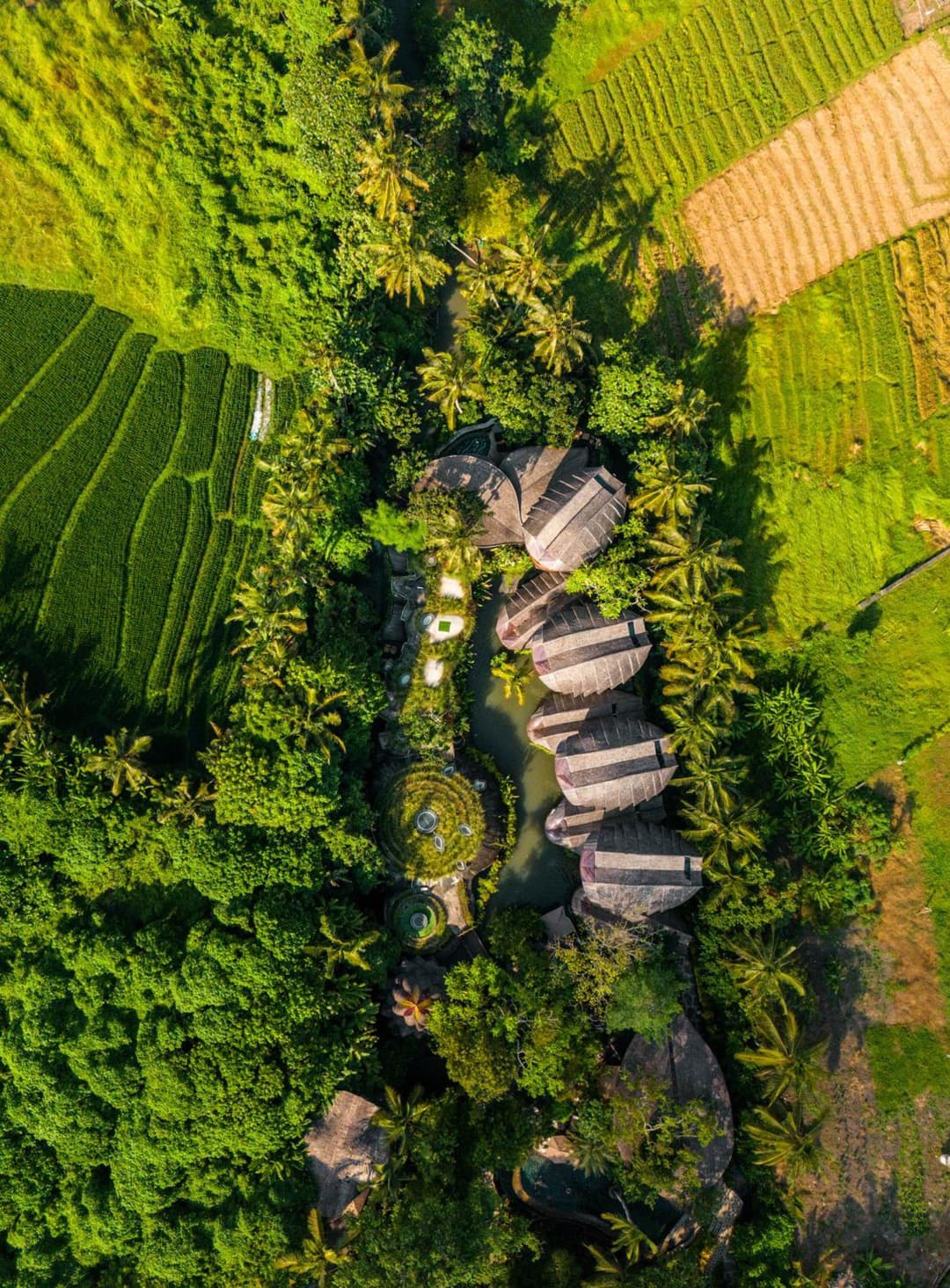 Ulaman Eco Luxury Resort — photo 1 of 216