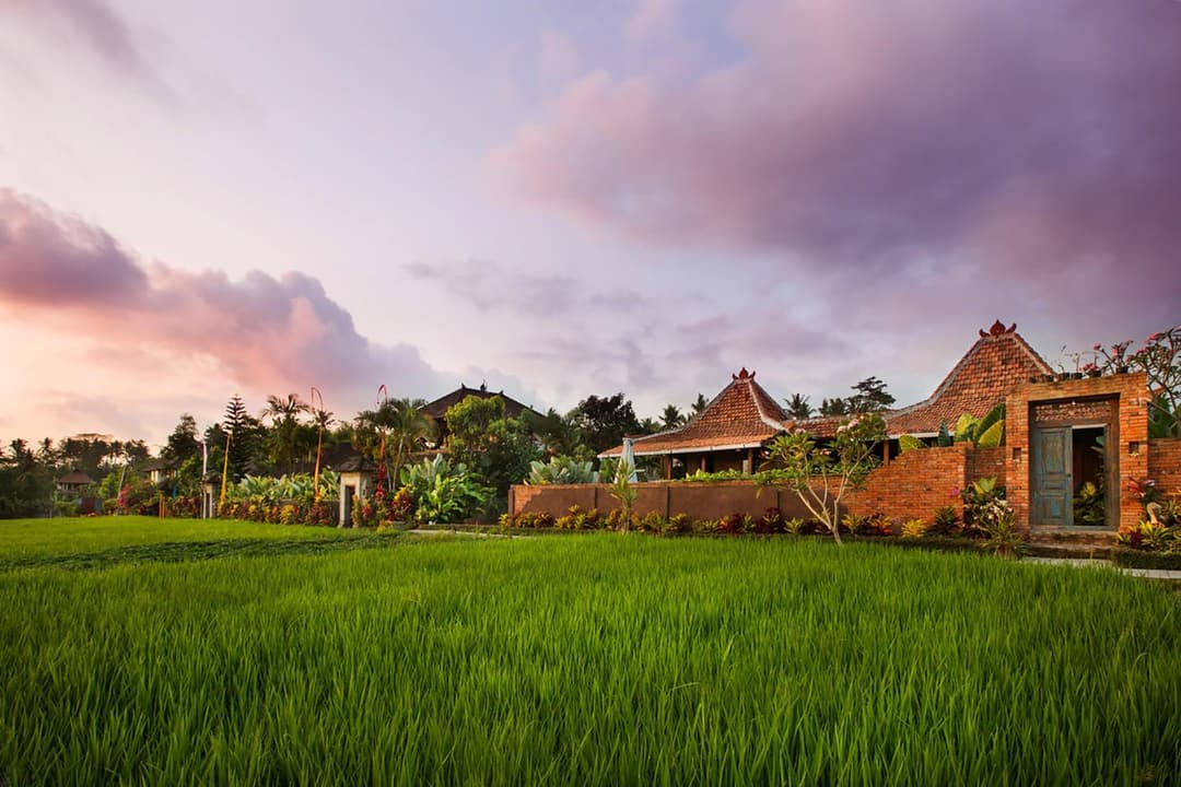 Naya Ubud — photo 1 of 33