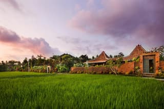 Naya Ubud