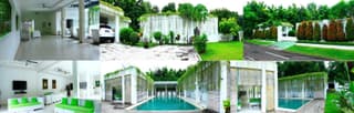 Villa Putih Lovina
