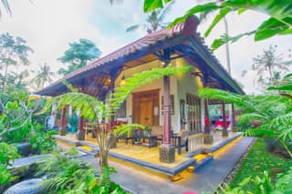 Imagine Bali