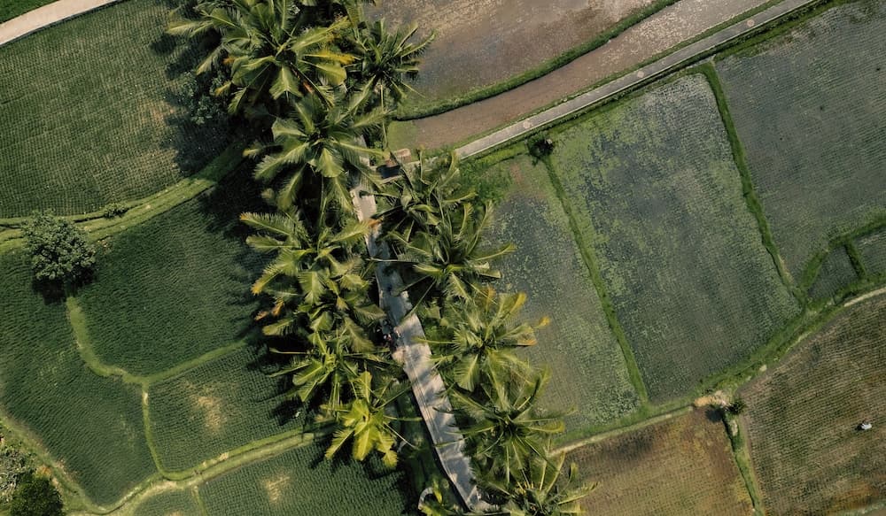 Sudamala Resort Ubud Bali — photo 1 of 1