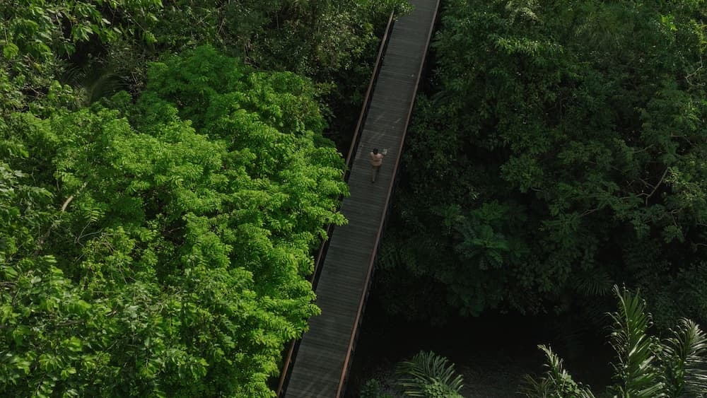 Kayumanis Ubud Private Villas & Spa — photo 1 of 166