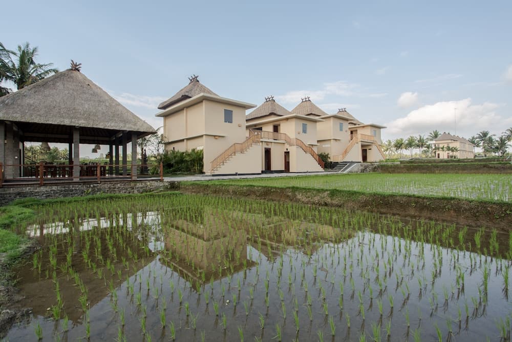 Manyi Village — photo 1 of 50
