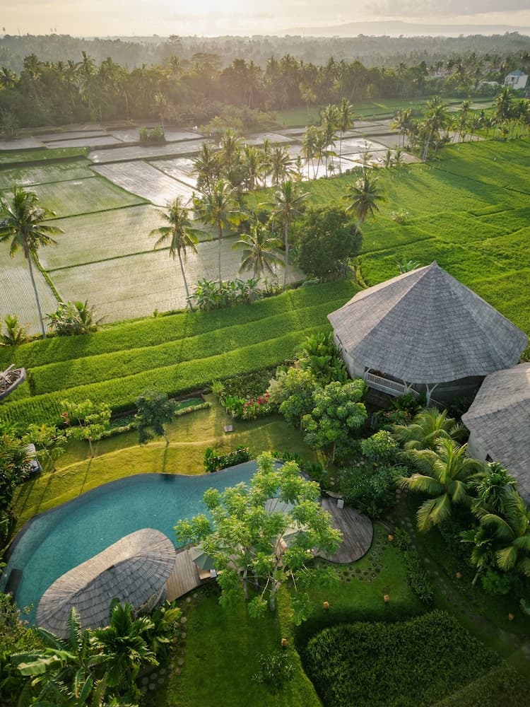 thewakanda Resort A Pramana Experience — photo 1 of 1