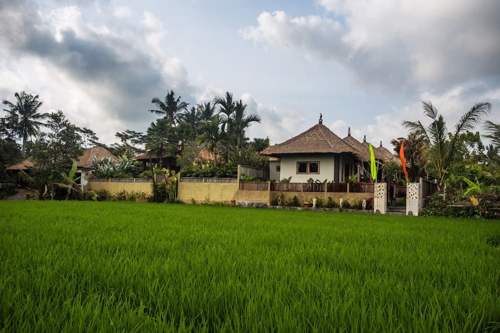 Ubud Luwih Villa — photo 1 of 67