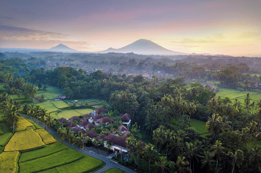 Dedary Resort & Spa Ubud by Ini Vie Hospitality — photo 1 of 135