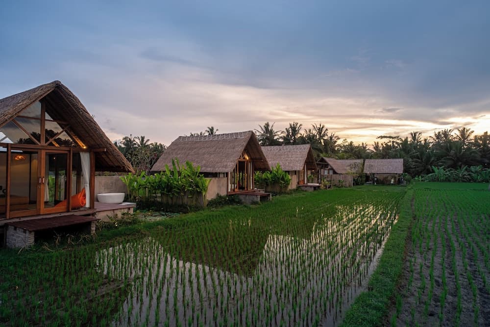 Pondok Mawas — photo 1 of 33