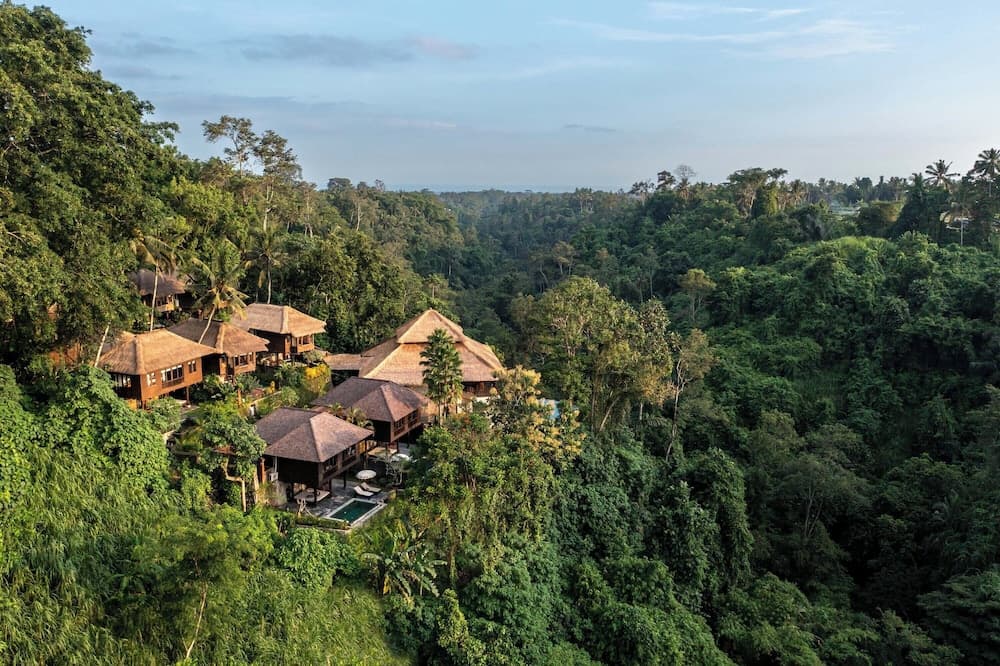 Natura Resort and Spa — photo 1 of 98