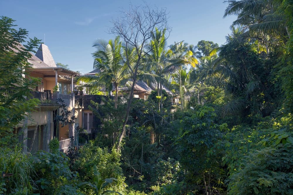 Wapa di Ume Ubud — photo 1 of 131