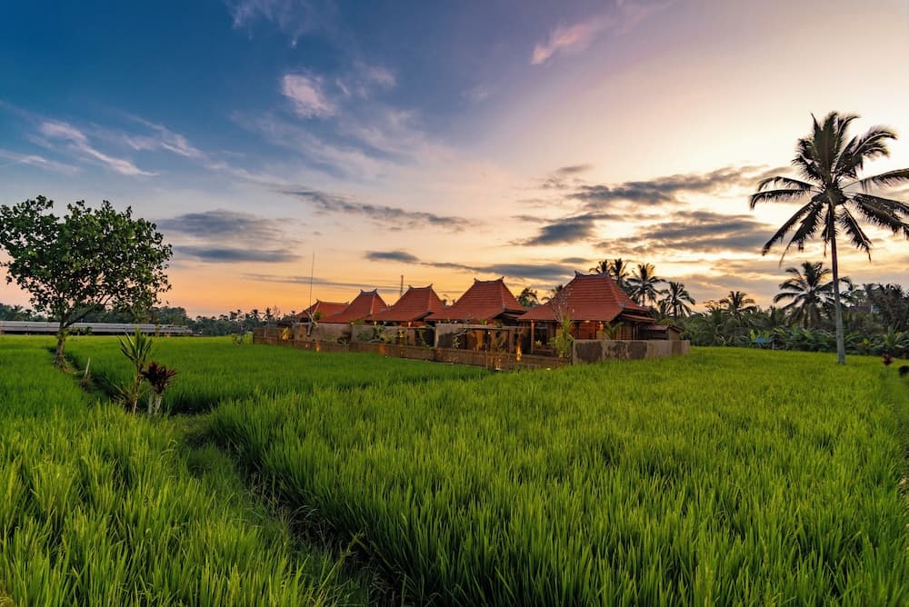 Arindama Villa Ubud by Dhananjaya Hospitality — photo 1 of 1