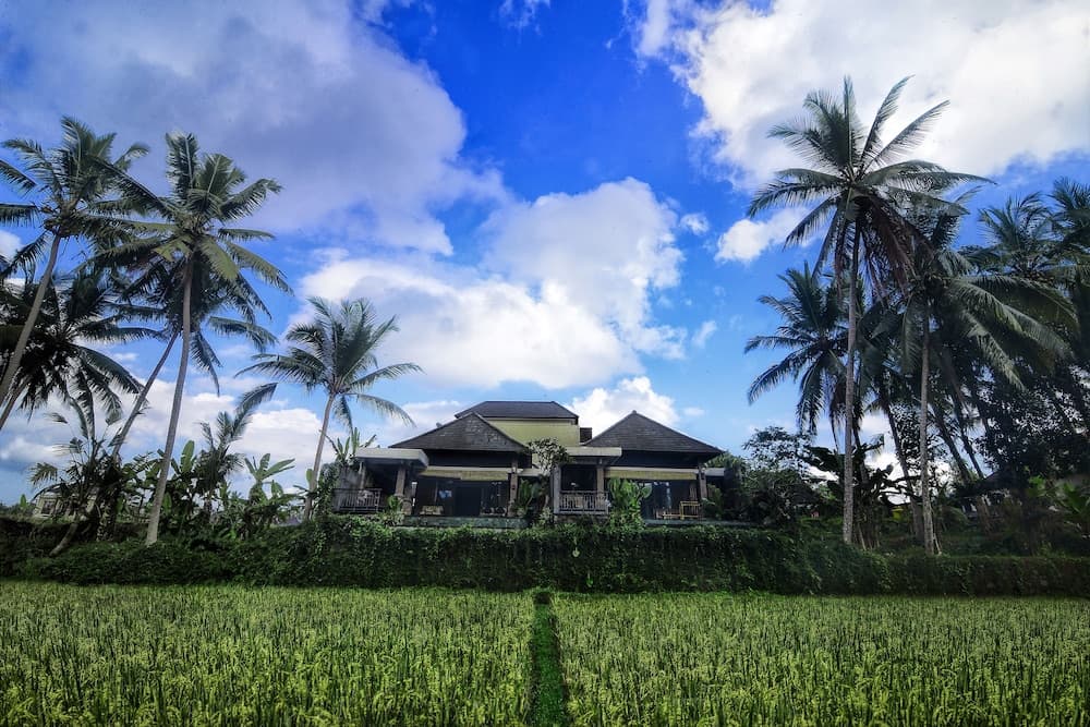 Villa Kirani Ubud — photo 1 of 33