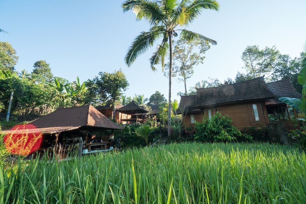 Song Broek Jungle Resort — photo 1 of 1