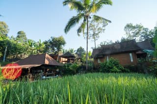 Song Broek Jungle Resort