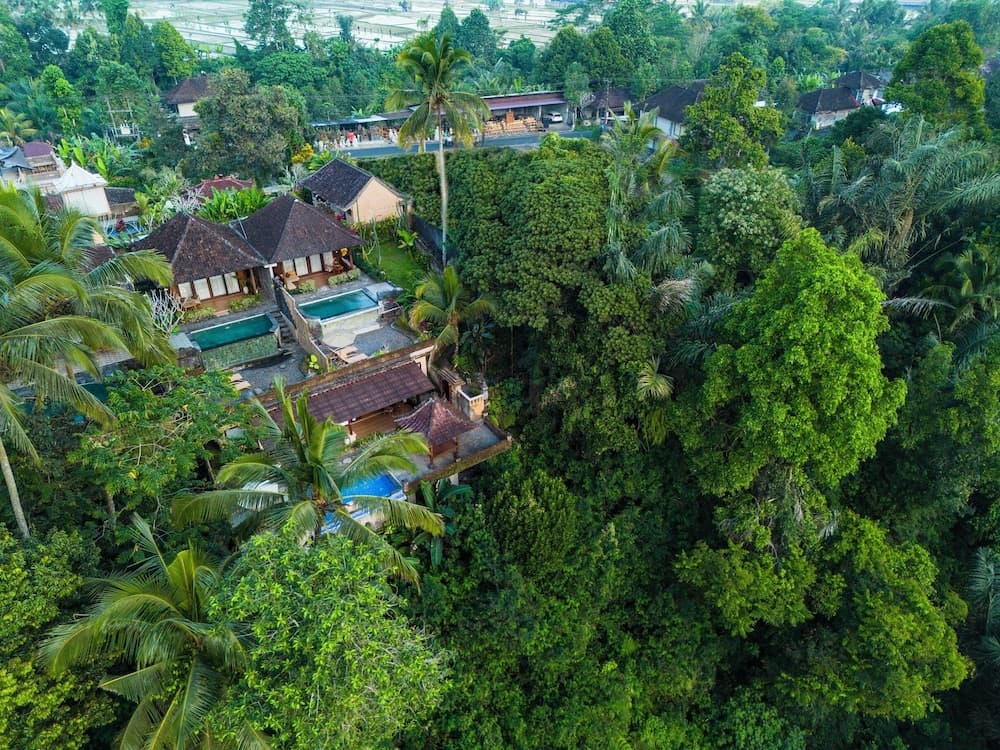 Belas Vana Villa Ubud by Dhananjaya Hospitality — photo 1 of 1