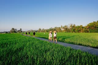 BAKUNGAN diJero Homestay
