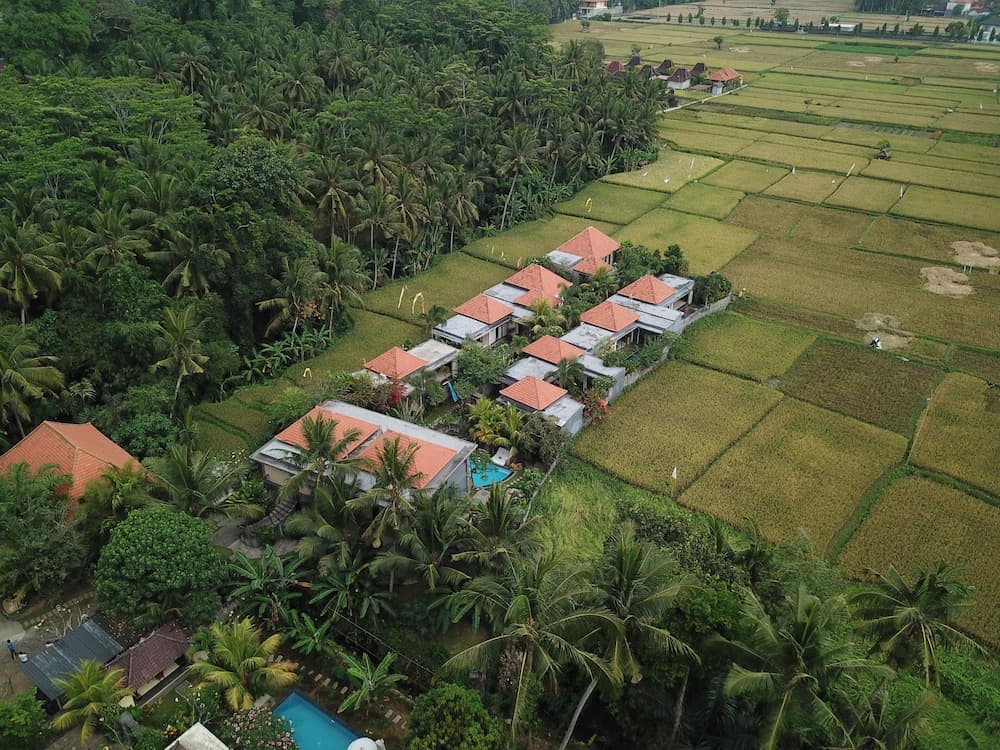 Asri Sari Resort Ubud — photo 1 of 1
