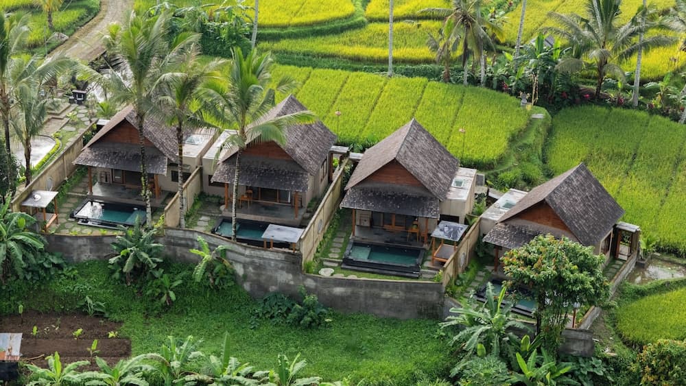 Moonterra Villa Sebatu — photo 1 of 1