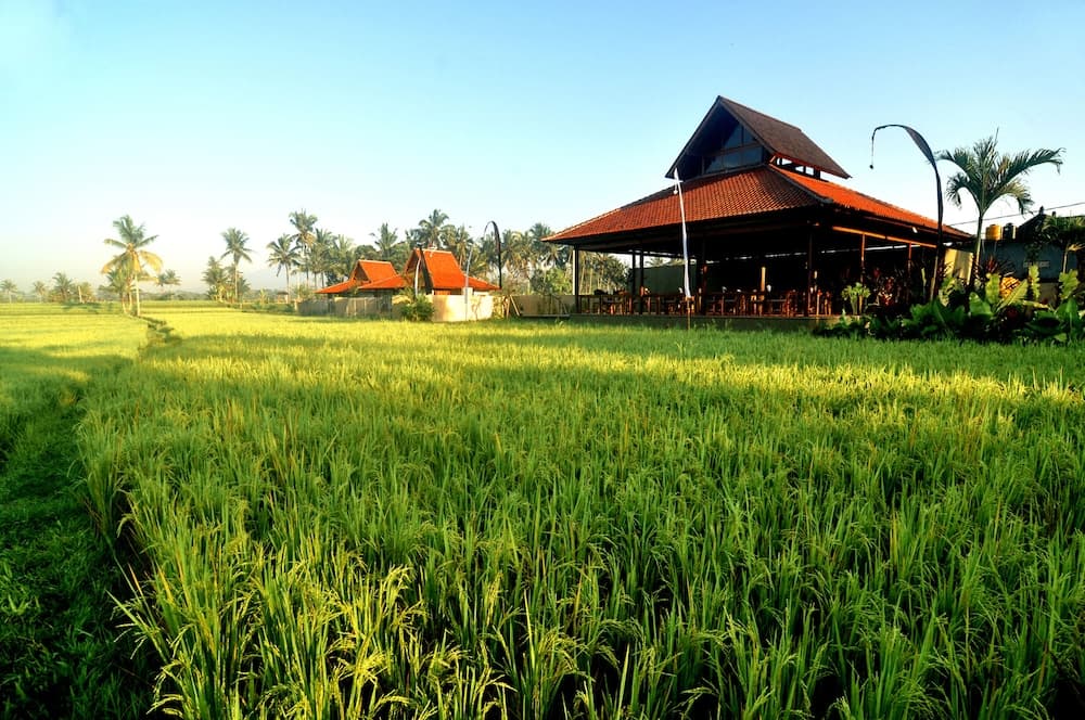 Kabinawa Ubud Villas by GenuineHost — photo 1 of 62