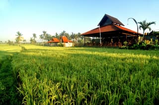Kabinawa Ubud Villas by GenuineHost