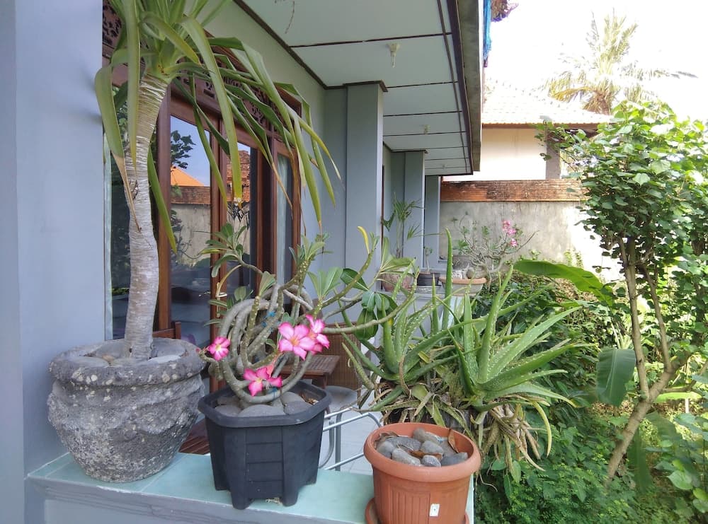 Celagi Inn — photo 1 of 1