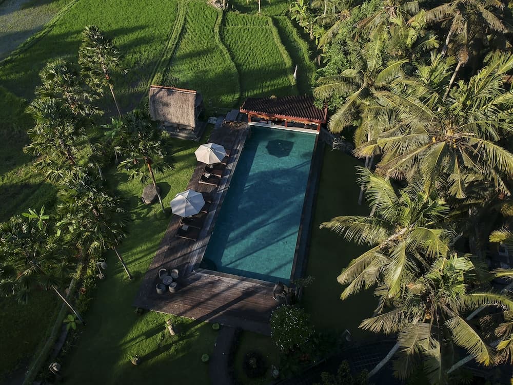 The Artini Dijiwa Ubud — photo 1 of 48