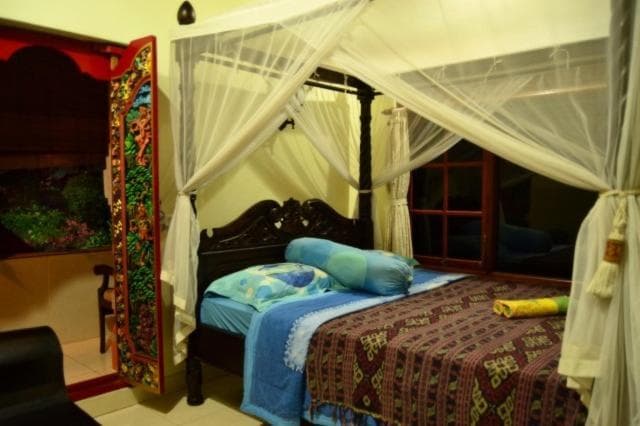 Standard Double or Twin Room with Fan