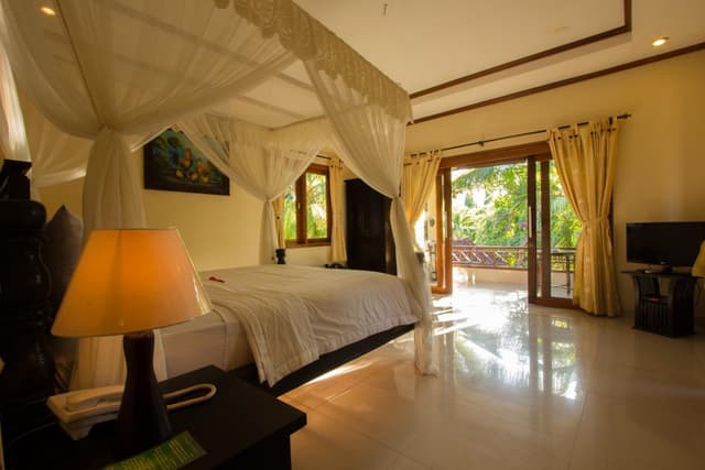 Deluxe Double or Twin Room
