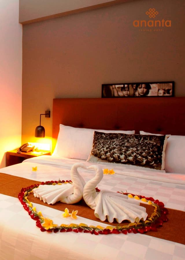 Deluxe Double or Twin Room with Pool Access
