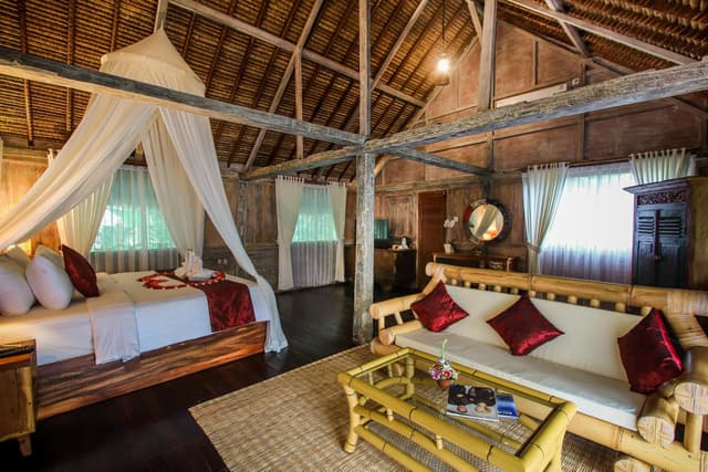 Suite Room with Jungle View