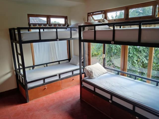 Bed in 8-Bed Mixed Dormitory Room