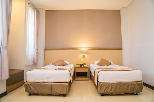 Deluxe Double or Twin Room