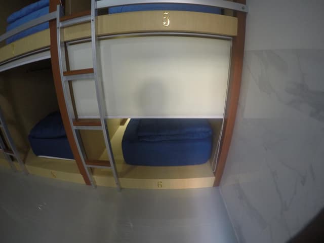 Bed in 8-Bed Mixed Dormitory Room