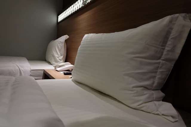 Superior Double or Twin Room