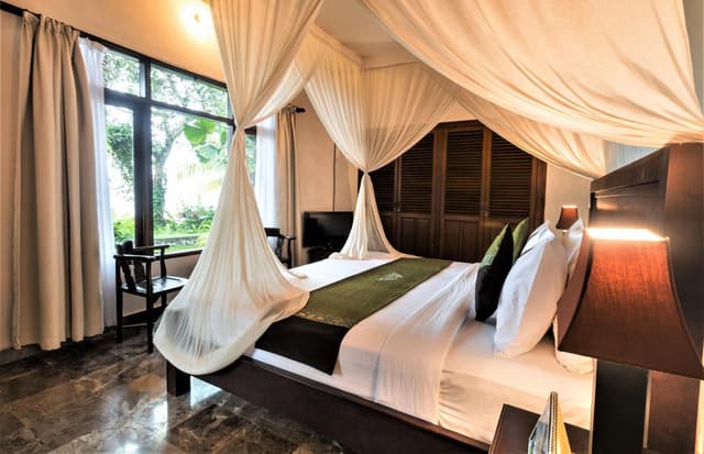 Classic Superior One-Bedroom Villa