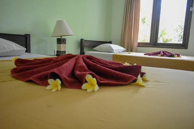 Standard Double or Twin Room